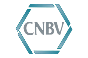 CNBV 1